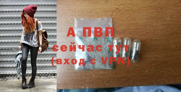 ГАЛЛЮЦИНОГЕННЫЕ ГРИБЫ Переславль-Залесский