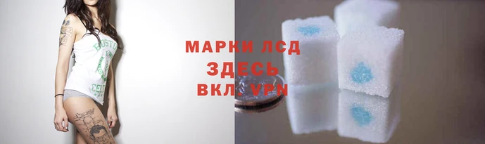 mdpv Арсеньев