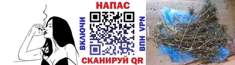 Шишки марихуана OG Kush Удомля